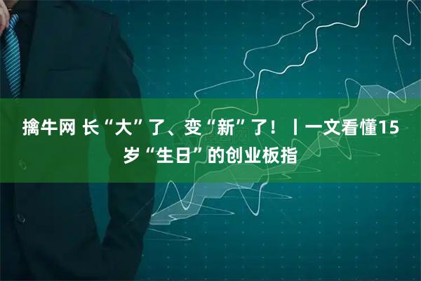 擒牛网 长“大”了、变“新”了！丨一文看懂15岁“生日”的创业板指
